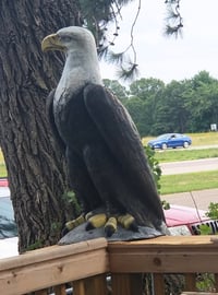 John's eagle sculpture on the deck.