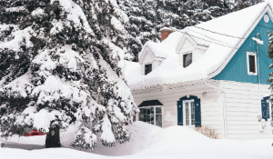 House and large pine tree covered in snow